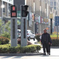 Integrated Pedestrian Traffic Signal Light